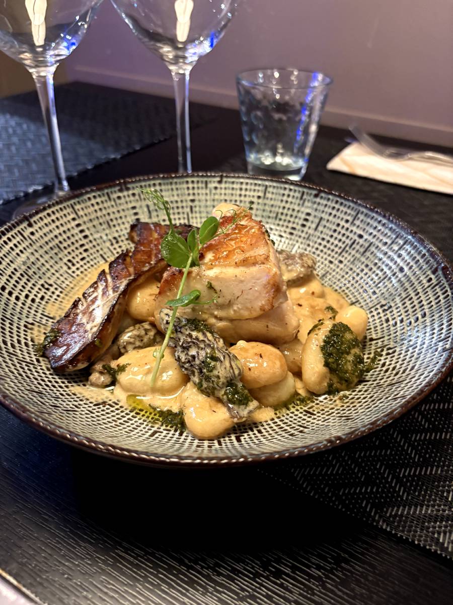 Suprême de poulet sauce aux morilles et gnocchi